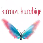 kırmızı kurabiye